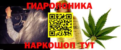 кокс Дубна