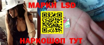 амф Донской