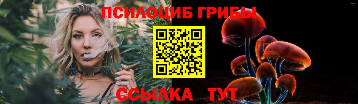 Галлюциногенные грибы Psilocybe Лянтор